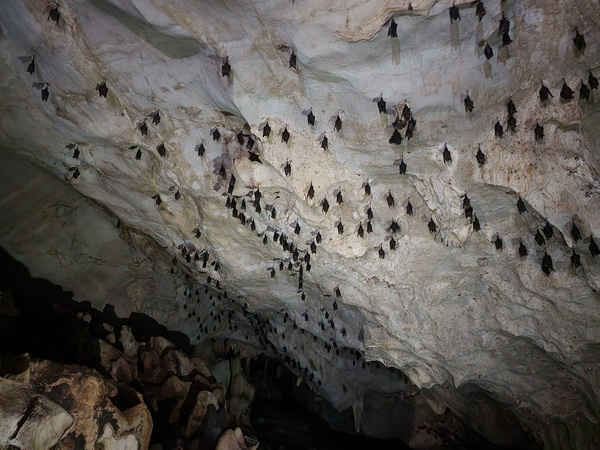 Explore the Enchanting Depths of Lawa Cave in Kanchanaburi 8