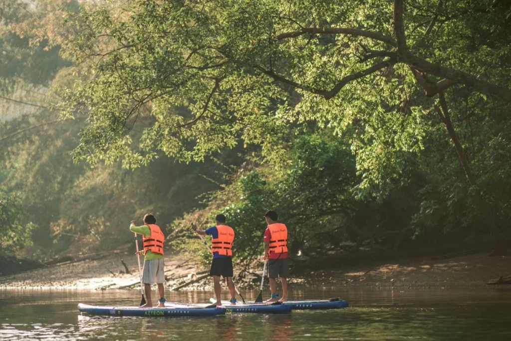 Paddleboarding
